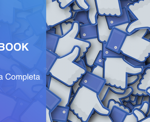 copertina della guida